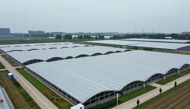 多规模业务下应用开发的技术适配性挑战与应对